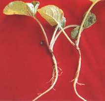 �ڽF�u�ΦM�`����