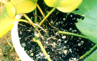 �������ոh�f