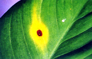 ���b�������f