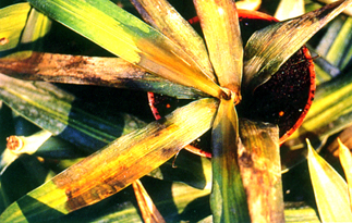 �����ʦX�˲ӵߩʳn�G�f