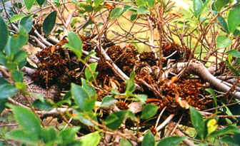 �_��ӵߩ����~�f�~�F�W���ͳ\�h�����p��