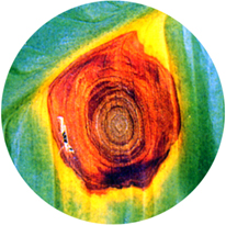 ���b�����j�f