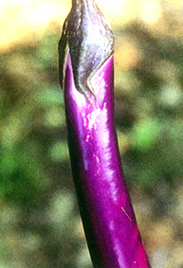 �����`���G�����A�ѤW���U�M�`