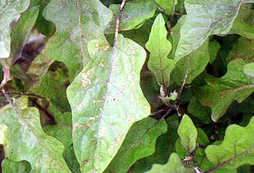 �f�X�����Ǥ@��o�ͦb�Ѹ��e�G�D���d�餧�M�`��