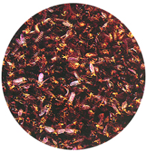 �f�X�����Ǥ�����