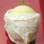 �v���ʮM�U�]��