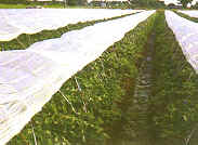 ���Ǥ��p�K�װ��ɡA�ѤU���W�Q���A����i���C�ڸs�δ�w�䬡��