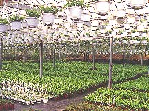 �[���Ӫ��]�I���