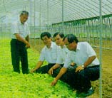 �P�B�a�Ὥ��_������1