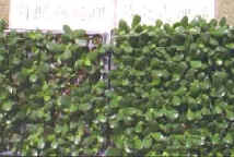 �]����r�b�Ӫ��f�`���v�W������