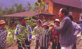 ������A�~���s