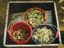 27-3a.JPG (53441 bytes)