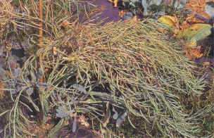 27-4e.JPG (121919 bytes)