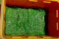 27-5a.jpg (55376 bytes)