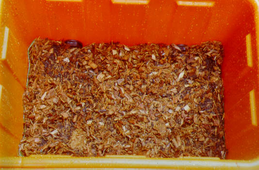 27-5b.jpg (61586 bytes)