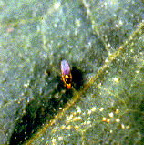 �]�I�������5.JPG (64874 bytes)