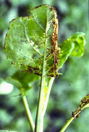 �]�I�������9.JPG (194455 bytes)