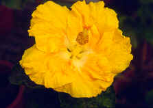 �߮��3.JPG (151371 bytes)