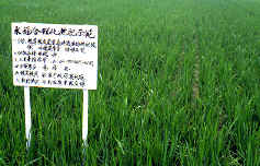 ���ʹA�@���X�z�I��2.JPG (214907 bytes)