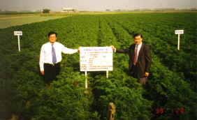 28-9c.JPG (374986 bytes)