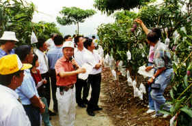 28-9d.JPG (467707 bytes)