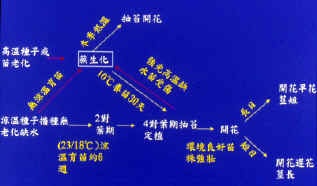 29-4e.jpg (148973 bytes)