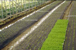 29-4f.jpg (187937 bytes)