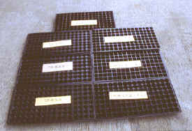 29-5a.jpg (162317 bytes)