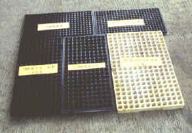 29-5b.jpg (156543 bytes)