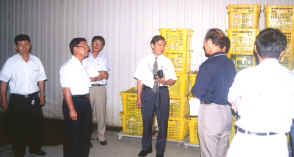 29-7b.jpg (334027 bytes)