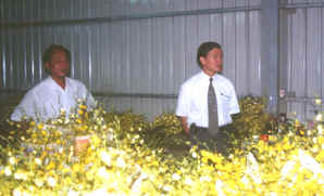 29-7c.jpg (342741 bytes)