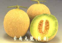 �v���ʷs�~�ءX�u�x�n�E���v