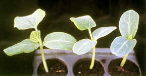 30-3j.JPG (136557 bytes)