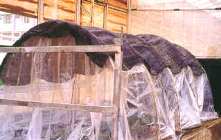 30-3m.JPG (205739 bytes)