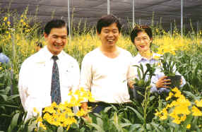 30-7a.JPG (508185 bytes)