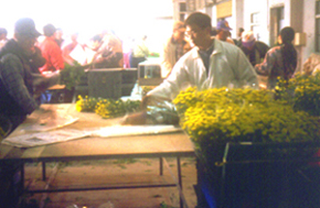 ���s3.jpg (70515 bytes)