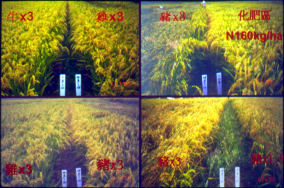 �V�b�ƪn��1.jpg (192731 bytes)