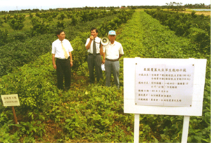 32-11a.jpg (95702 bytes)