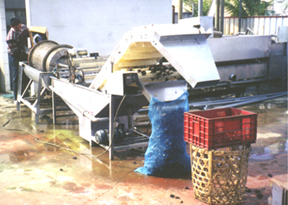 32-2c.jpg (79647 bytes)