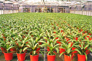 32-4e.jpg (123520 bytes)