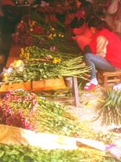 32-5e.jpg (73571 bytes)