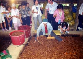 33-10c.jpg (14451 bytes)