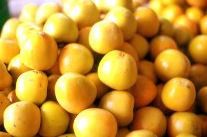 33-11a.jpg (16629 bytes)