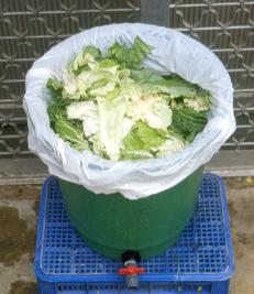 33-4a.jpg (13741 bytes)