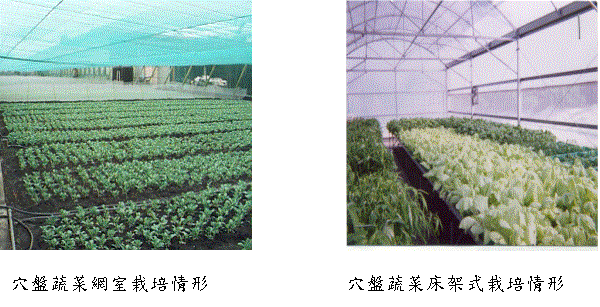 (��)�޽L������Ǯ�����p�F(�k)�޽L����ɬ[���������