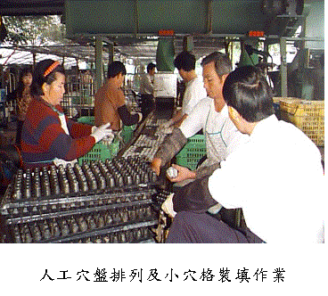 �H�u�޽L�ƦC�Τp�ޮ�˶�@�~