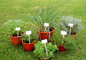 �X�إD�n����������A�̫e�Ƭ�������A�ĤG�ƥ����g�����A�k���ʨ����A��ƥѥ��ӥk���O���f�cù�ǡB���T����Ȧ��C