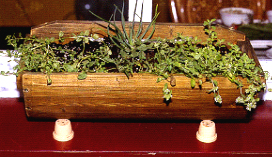 �~�a�شӮɨ̤��P�����O�Ӧb��֤��A���ȥi���[��A��i�H��K���Q��