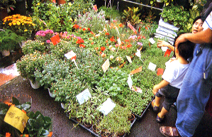 �ᩱ���C�c�死��޽L����