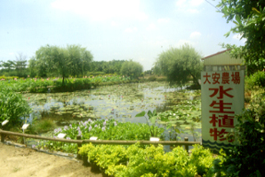 ���ʹӪ���